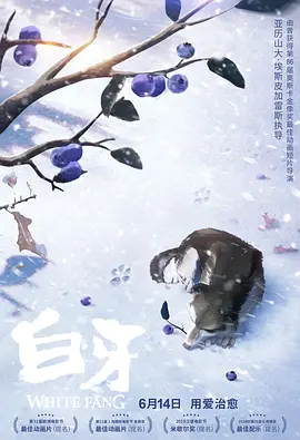 综合网站